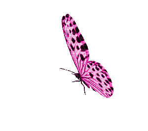 Gif de mariposa