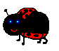 Gif de mariquita