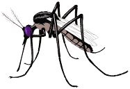 Gif de mosquito