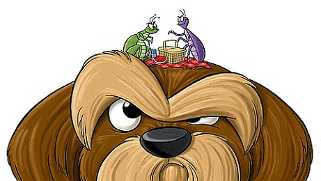 Gif de pulgas