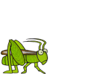 Gif de saltamontes
