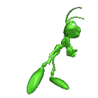 Gif de saltamontes