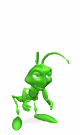 Gif de saltamontes