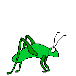 Gif de saltamontes