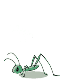 Gif de saltamontes