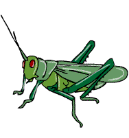 Gif de saltamontes