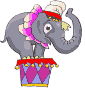 Elefante del circo