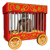 Gif Circo
