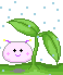 Kaos