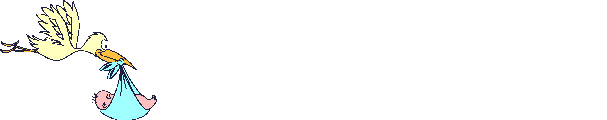 Cigueña