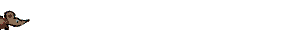 Linea Gif
