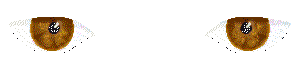 Gif Animado