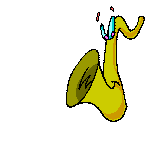 Saxo
