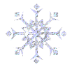 nieve