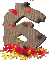 numero 6