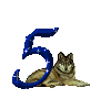numero 5
