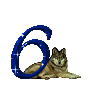 numero 6