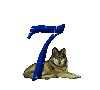 numero 7