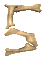 numero 5