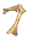 numero 7
