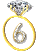 numero 6