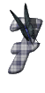 numero 7