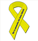 lazo solidario