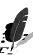 pluma