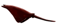 Mantarrayas