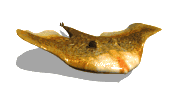 Mantarraya