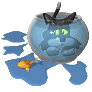 Gato en la Pecera