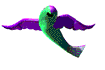 Pez Anguila