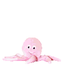Pulpo