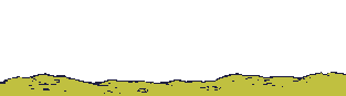 Gif de indio