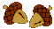 bellotas