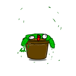 Cactus