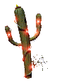 Cactus con luces