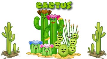 Cactus