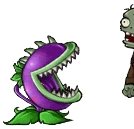 Carnivora