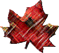 Hoja animada