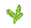 Hoja animada