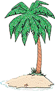 palmera