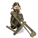 Gif de carpintero