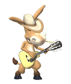 Guitarrista