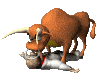 Torero