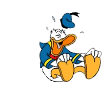 donald risas