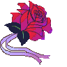 alianza con rosa