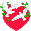 gif palomas