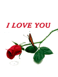 Gif i love you