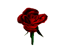 flor